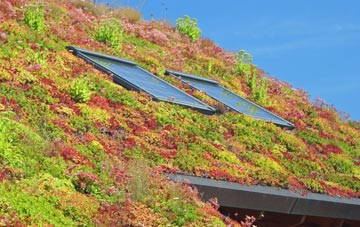 Tonge Fold living roof systems